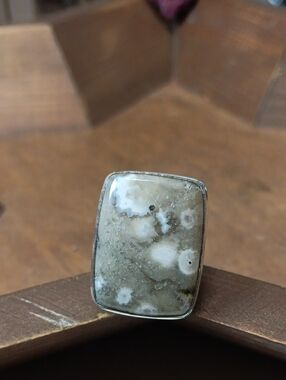 Natural Ocean Jasper Statement Ring in Cream and Gray